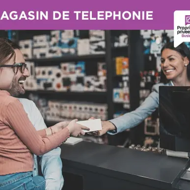 Vente - Téléphonie - Rhône (69)-photo-8