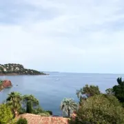 Vente de murs de boutique - Var (83)