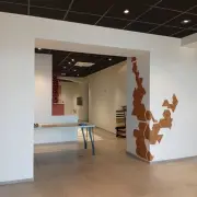 Vente de murs de boutique - Flace les macon (71000)