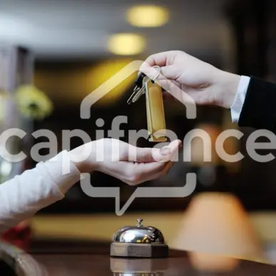 Vente - Hôtel - Restaurant - Adé (65100)-photo-1