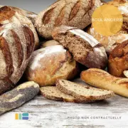 Vente - Restaurant - Boulangerie - Pâtisserie - Snack - Val-de-Marne (94)