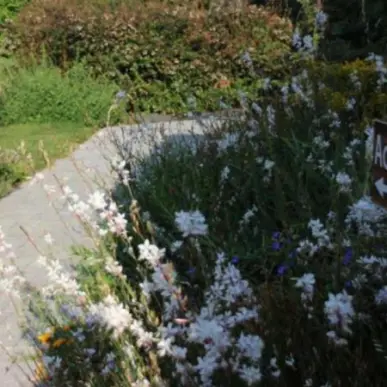 Vente - Gîte - Morbihan (56)-photo-8