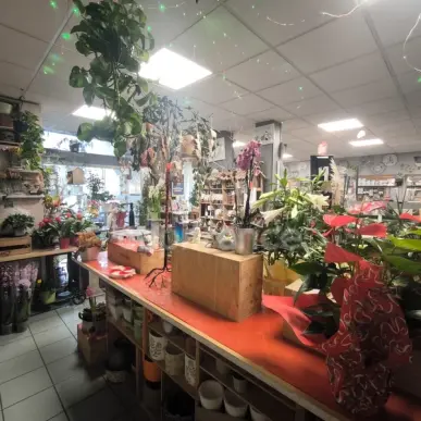 Vente - Fleuriste - Blet (18350)-photo-3