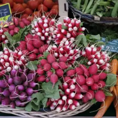 Vente - Alimentation - Fruits et légumes - Paris (75)-photo-8