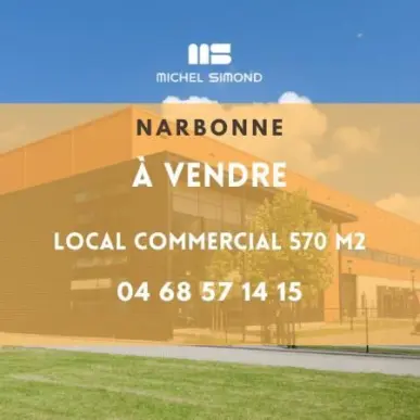Location Local Commercial - Aude (11)-photo-2