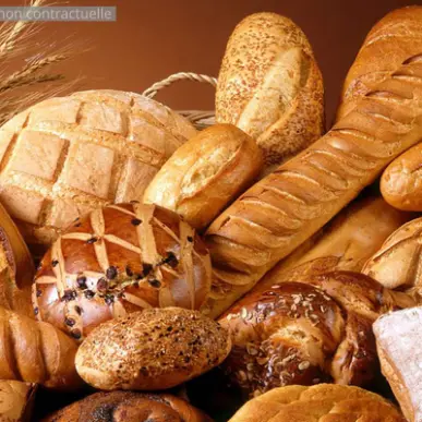 Vente - Boulangerie - Pâtisserie - Le Barp (33114)-photo-1