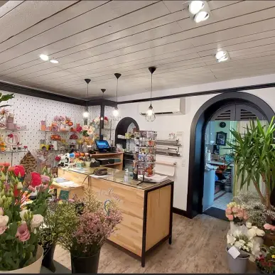Vente - Fleuriste - Paray-le-Monial (71600)-photo-3