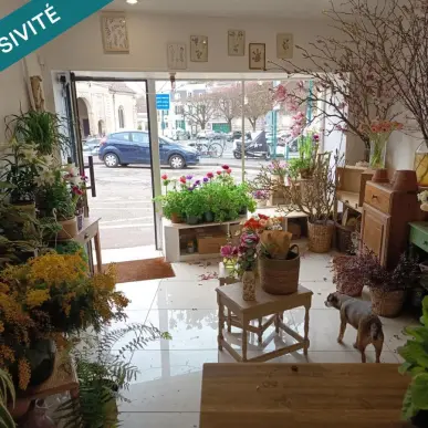 Vente de murs de boutique - Ennery (95300)-photo-4