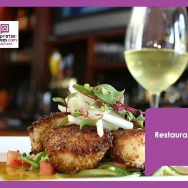 Vente - Bar - Restaurant - Licence IV - Côtes-d'Armor (22)-photo-7