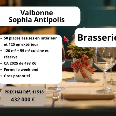 Vente - Brasserie - Valbonne (06560)-photo-1