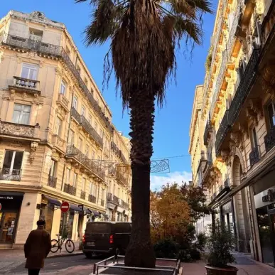 Location Local Commercial - Montpellier (34000)-photo-7