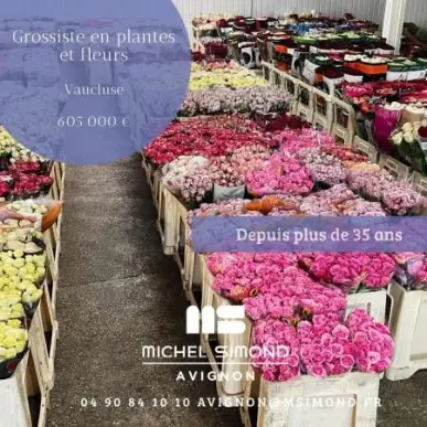 Vente - Fleuriste - Vaucluse (84)-photo-5