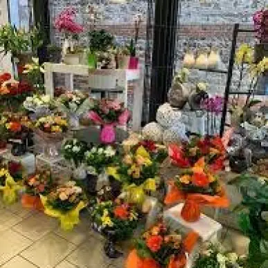 Vente - Fleuriste - Goderville (76110)-photo-1