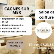Vente -  - Cagnes-sur-Mer (06800)