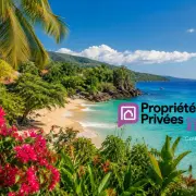 Vente Bureau - Guadeloupe (971)