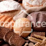 Vente - Boulangerie - Aurillac (15000)
