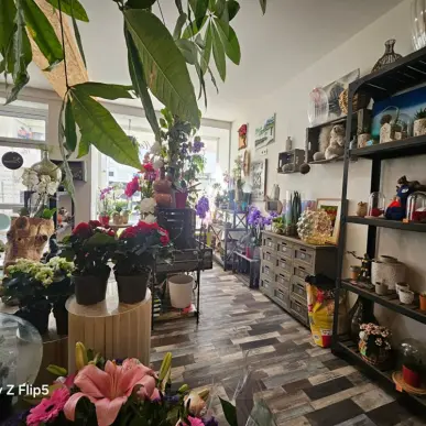 Vente - Fleuriste - Marne (51)-photo-3