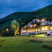 Vente - Hôtel - Restaurant - Bernardswiller (67210)