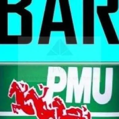 Vente - Bar - PMU - Sainte-Marie-des-Champs (76190)-photo-1