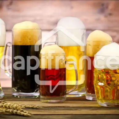 Vente - Hôtel - Restaurant - Café - Lille (59000)-photo-2