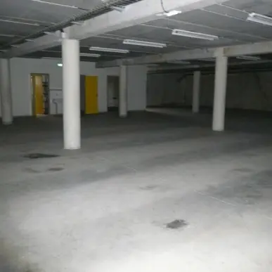 Location Local Commercial - Boutiers-Saint-Trojan (16100)-photo-3