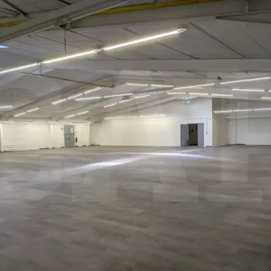 Location Local Commercial - Kergrist (56300)-photo-7