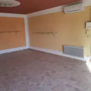 Location Entrepôt / Local d'activités - Aubenas (07200)-photo-1