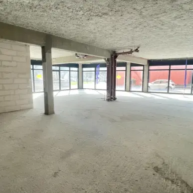 Vente Entrepôt / Local d'activités - Hémonstoir (22600)-photo-3