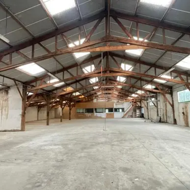 Vente Entrepôt / Local d'activités - Hémonstoir (22600)-photo-9
