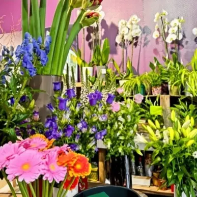 Vente - Fleuriste - Colombes (92700)-photo-2