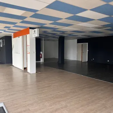 Vente Entrepôt / Local d'activités - Aureilhan (65800)-photo-4