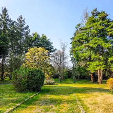 Vente Terrain ZI / ZA - Le Mans (72000)-photo-5