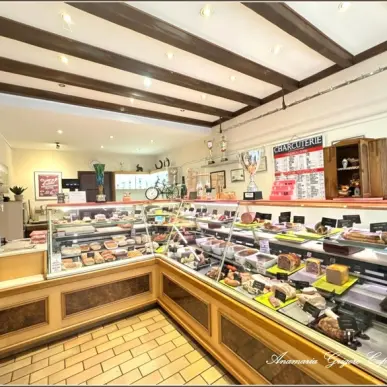 Vente - Boucherie - Charcuterie - Traiteur - Billancelles (28190)-photo-2