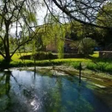 Vente - Hôtel - Gîte - Vienne (86)-photo-3