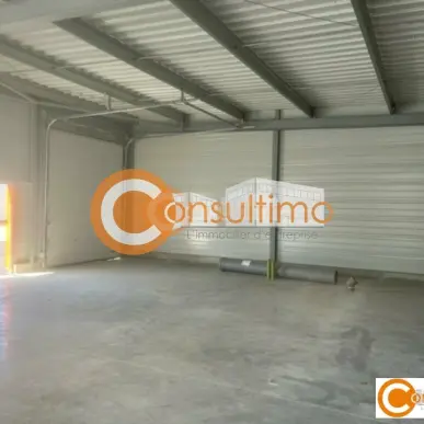Vente Entrepôt / Local d'activités - Carbon-Blanc (33560)-photo-10