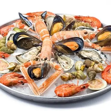 Vente - Poissonnerie - Royan (17200)-photo-2
