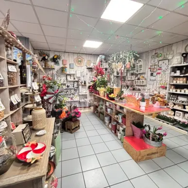 Vente - Fleuriste - Blet (18350)-photo-1