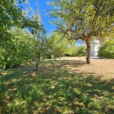 Vente - Gîte - Côte-d'Or (21)-photo-3