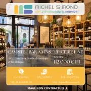 Vente - Bar - Alimentation - Cave à vins - Epicerie - Licence III - Vins et spiritueux - Lot (46)