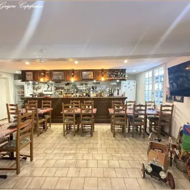 Vente - Restaurant - Pizzeria - Billancelles (28190)-photo-5