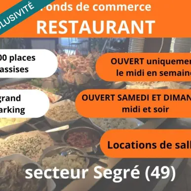 Vente - Restaurant - Pressing - Aviré (49500)-photo-3