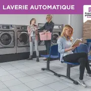 Vente - Laverie - Haute-Corse (2B)