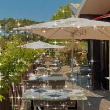 Vente - Bar - Restaurant - Pizzeria - Landes (40)-photo-1