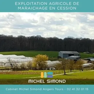 Vente - Exploitation agricole - Indre (36)-photo-1