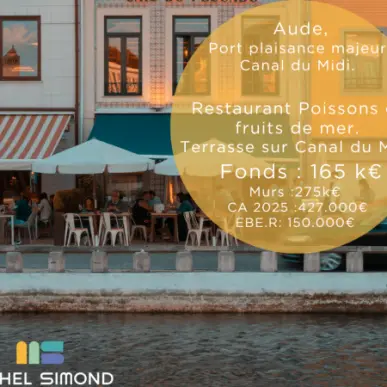 Vente - Restaurant - Restaurant à thème - Licence III - Aude (11)-photo-3