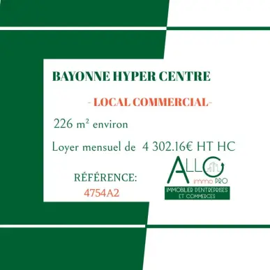 Location Entrepôt / Local d'activités - Bayonne (64100)-photo-2