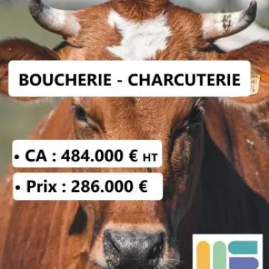 Vente - Boucherie - Charcuterie - Alimentation - Epicerie - Traiteur - Alpes-Maritimes (06)-photo-2