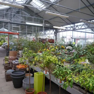 Vente Terrain ZI / ZA - Azy-sur-Marne (02400)-photo-8