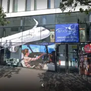 Vente de murs de boutique - Paris 13ème (75013)