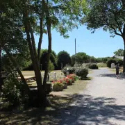 Vente - Camping - Meschers-sur-Gironde (17132)